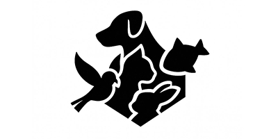 Robert Shop Collection