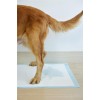 Uniq Snappy Pawdry Blue Επιδαπέδιες Πάνες Εκπαίδευσης Σκύλων 60×90cm 20τμχ