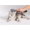 Uniq Pets Χτένα Γάτας Περιποίησης σε Σχήμα Γάτας Γκρι