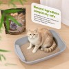 Uniq Pets Βιοδιασπώμενη Tofu Pro 6L Άμμος Γάτας από Ίνες Μπαμπού